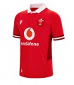 OFFICIAL REPLICA WALES RUGBY HOME JERSEY ADULT 2023/2024 - MACRON